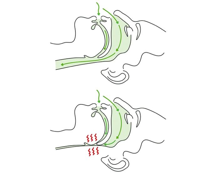 <p class="p1"><span class="s1">Comfort with Effect</span></p>